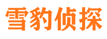 南漳外遇调查取证